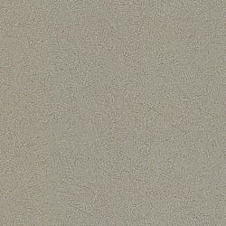 Galerie Wallcoverings Product Code: 51125317 - Serenity Wallpaper Collection Galerie Wallcoverings Product Code 51125317 - Serenity Wallpaper Collection -