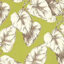 Galerie Wallcoverings Product Code: 51135104 - Floral Dance Wallpaper Collection Galerie Wallcoverings Product Code 51135104 - Floral Dance Wallpaper Collection -