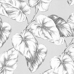Galerie Wallcoverings Product Code: 51135109 - Floral Dance Wallpaper Collection Galerie Wallcoverings Product Code 51135109 - Floral Dance Wallpaper Collection -