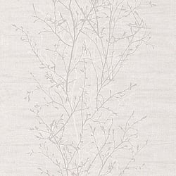 Galerie Wallcoverings Product Code: 51145406 - Skandinavia Wallpaper Collection Galerie Wallcoverings Product Code 51145406 - Skandinavia Wallpaper Collection - Light Beige Colours - Beige Tallin Trees Design