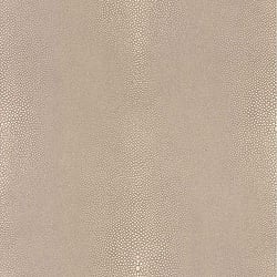 Galerie Wallcoverings Product Code: 51157907 - Serenity Wallpaper Collection Galerie Wallcoverings Product Code 51157907 - Serenity Wallpaper Collection -
