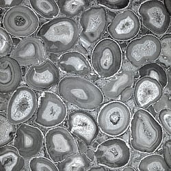 Galerie Wallcoverings Product Code: 51220 - Pepper Wallpaper Collection Galerie Wallcoverings Product Code 51220 - Pepper Wallpaper Collection - Black Cumin Colours - Agate Design