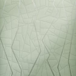 Galerie Wallcoverings Product Code: 64637 - Slow Living Wallpaper Collection Galerie Wallcoverings Product Code 64637 - Slow Living Wallpaper Collection - Green Silver Colours - Connection Wasabi Green Design