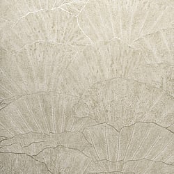 Galerie Wallcoverings Product Code: 65003 - Feel Wallpaper Collection Galerie Wallcoverings Product Code 65003 - Feel Wallpaper Collection - Cream Silver Grey Colours - Seashell Design