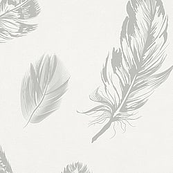 Galerie Wallcoverings Product Code: 6767-20 - Imagine Wallpaper Collection Galerie Wallcoverings Product Code 6767-20 - Imagine Wallpaper Collection - White Grey Colours - Feather Motif Design