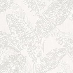 Galerie Wallcoverings Product Code: 6769-20 - Imagine Wallpaper Collection Galerie Wallcoverings Product Code 6769-20 - Imagine Wallpaper Collection - Greige Colours - Tropical Leaf Print Design