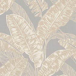 Galerie Wallcoverings Product Code: 6769-40 - Imagine Wallpaper Collection Galerie Wallcoverings Product Code 6769-40 - Imagine Wallpaper Collection - Greige Colours - Tropical Leaf Print Design