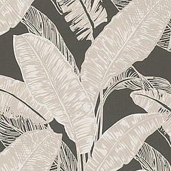 Galerie Wallcoverings Product Code: 6769-50 - Imagine Wallpaper Collection Galerie Wallcoverings Product Code 6769-50 - Imagine Wallpaper Collection - Brown Beige Colours - Tropical Leaf Print Design