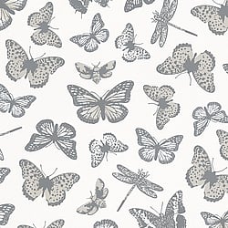 Galerie Wallcoverings Product Code: 6771-10 - Imagine Wallpaper Collection Galerie Wallcoverings Product Code 6771-10 - Imagine Wallpaper Collection - White Grey Colours - Butterly Butterflies Design