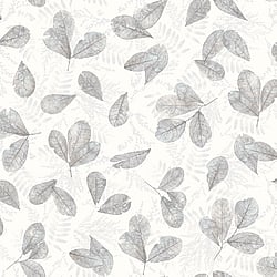 Galerie Wallcoverings Product Code: 7301 - Evergreen Wallpaper Collection Galerie Wallcoverings Product Code 7301 - Evergreen Wallpaper Collection - Grey Colours - Fossil Leaf Toss Design