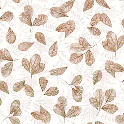 Galerie Wallcoverings Product Code: 7304 - Evergreen Wallpaper Collection Galerie Wallcoverings Product Code 7304 - Evergreen Wallpaper Collection - Copper Mica Colours - Fossil Leaf Toss Design
