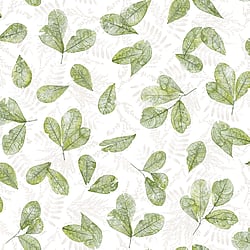 Galerie Wallcoverings Product Code: 7305 - Evergreen Wallpaper Collection Galerie Wallcoverings Product Code 7305 - Evergreen Wallpaper Collection - Green Colours - Fossil Leaf Toss Design
