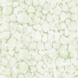 Galerie Wallcoverings Product Code: 7316 - Evergreen Wallpaper Collection Galerie Wallcoverings Product Code 7316 - Evergreen Wallpaper Collection - Green Mica Colours - Reflections Design