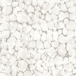 Galerie Wallcoverings Product Code: 7317 - Evergreen Wallpaper Collection Galerie Wallcoverings Product Code 7317 - Evergreen Wallpaper Collection - Grey Mica Colours - Reflections Design