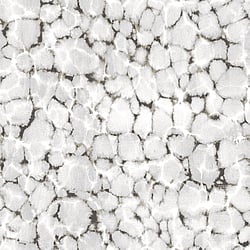 Galerie Wallcoverings Product Code: 7319 - Evergreen Wallpaper Collection Galerie Wallcoverings Product Code 7319 - Evergreen Wallpaper Collection - Black Grey Metallic Colours - Reflections Design