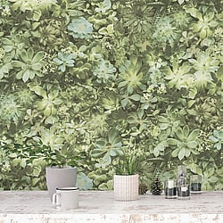 Galerie Wallcoverings Product Code: 7320 - Evergreen Wallpaper Collection Galerie Wallcoverings Product Code 7320 - Evergreen Wallpaper Collection - Green Colours - Succulents Design