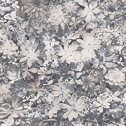 Galerie Wallcoverings Product Code: 7321 - Evergreen Wallpaper Collection Galerie Wallcoverings Product Code 7321 - Evergreen Wallpaper Collection - Grey Colours - Succulents Design