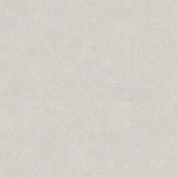 Galerie Wallcoverings Product Code: 7331 - Evergreen Wallpaper Collection Galerie Wallcoverings Product Code 7331 - Evergreen Wallpaper Collection - Grey Colours - Veining Leaf Texture Design
