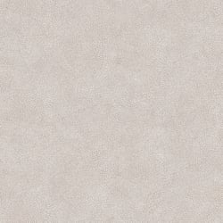 Galerie Wallcoverings Product Code: 7332 - Evergreen Wallpaper Collection Galerie Wallcoverings Product Code 7332 - Evergreen Wallpaper Collection - Warm Beige Colours - Veining Leaf Texture Design