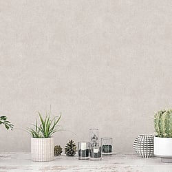Galerie Wallcoverings Product Code: 7332 - Evergreen Wallpaper Collection Galerie Wallcoverings Product Code 7332 - Evergreen Wallpaper Collection - Warm Beige Colours - Veining Leaf Texture Design