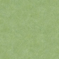 Galerie Wallcoverings Product Code: 7333 - Evergreen Wallpaper Collection Galerie Wallcoverings Product Code 7333 - Evergreen Wallpaper Collection - Green Colours - Veining Leaf Texture Design