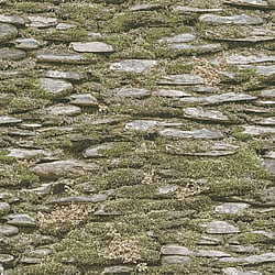 Galerie Wallcoverings Product Code: 7336 - Evergreen Wallpaper Collection Galerie Wallcoverings Product Code 7336 - Evergreen Wallpaper Collection - Green Colours - Rock Wall Design