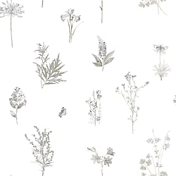 Galerie Wallcoverings Product Code: 7341 - Evergreen Wallpaper Collection Galerie Wallcoverings Product Code 7341 - Evergreen Wallpaper Collection - Grey Colours - Botanical Design