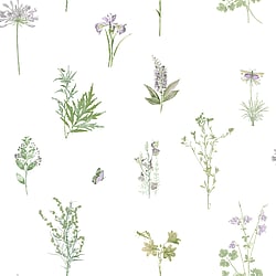 Galerie Wallcoverings Product Code: 7342 - Evergreen Wallpaper Collection Galerie Wallcoverings Product Code 7342 - Evergreen Wallpaper Collection - Multicolor Colours - Botanical Design