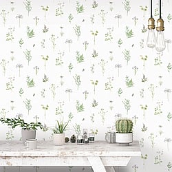 Galerie Wallcoverings Product Code: 7342 - Evergreen Wallpaper Collection Galerie Wallcoverings Product Code 7342 - Evergreen Wallpaper Collection - Multicolor Colours - Botanical Design