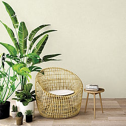Galerie Wallcoverings Product Code: 7385 - Evergreen Wallpaper Collection Galerie Wallcoverings Product Code 7385 - Evergreen Wallpaper Collection - Light Green Colours - Linen Plain Design