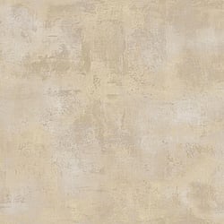 Galerie Wallcoverings Product Code: 7452 - Italian Textures 3 Wallpaper Collection Galerie Wallcoverings Product Code 7452 - Italian Textures 3 Wallpaper Collection - Beige Colours - This marked plaster effect wallpaper is the perfect choice if you want to bring a room up to date in a dramatic way. With a subtle emboss to create some structural depth, it comes in an on-trend beige colourway. Drawing on the textures of, and resembling the stippled texture of ancient plasterwork or faded limestone, this unusual wallpaper will be a warming welcome to your home. This will be perfect on all four walls or can be accompanied by a complementary wallpaper. Design