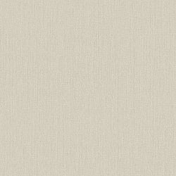 Galerie Wallcoverings Product Code: 75207 - Ornamenta 2 Wallpaper Collection Galerie Wallcoverings Product Code 75207 - Ornamenta 2 Wallpaper Collection - Grey Colours - Ornamenta Plain Design