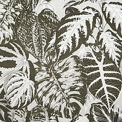 Galerie Wallcoverings Product Code: 81263 - Feel Wallpaper Collection Galerie Wallcoverings Product Code 81263 - Feel Wallpaper Collection - Grey Charcoal Ecru White Beige Colours - Elephant Leaf Design