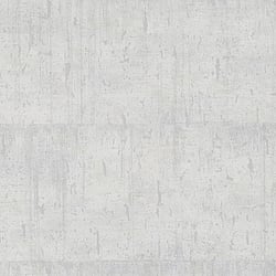 Galerie Wallcoverings Product Code: 95028 - Natural Opulence Wallpaper Collection Galerie Wallcoverings Product Code 95028 - Natural Opulence Wallpaper Collection - White Colours - This aged concrete effect wallpaper is the perfect choice if you want to bring a room up to date in a dramatic way. With a subtle emboss to create some structural depth, it comes in an on-trend silver grey colourway. Drawing on the textures of, and resembling the stippled texture of ancient plasterwork or faded limestone, this unusual wallpaper will be a warming welcome to your home. This will be perfect on all four walls or can be accompanied by a complementary wallpaper. Design