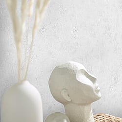 Galerie Wallcoverings Product Code: 95047 - Air Wallpaper Collection Galerie Wallcoverings Product Code 95047 - Air Wallpaper Collection - White Colours - A mottled, textured wallpaper, shown here in light grey. This interesting wallpaper is a sleek and sophisticated design giving a soft mottled effect of natural tones and subtly textured with a light emboss. This wallpaper is a great choice to compliment your decor or would look great on all four walls. Design
