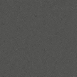 Galerie Wallcoverings Product Code: 95056 - Air Wallpaper Collection Galerie Wallcoverings Product Code 95056 - Air Wallpaper Collection - Black Colours - This textured wallpaper is the perfect choice if you want to bring a room up to date in an understated way. With a subtle emboss to create some structural depth, it comes in a fabulous black colour option. No interior décor is complete without the addition of texture, this matte natural wallpaper will be a warming welcome to your home. This will be perfect on all four walls or can be accompanied by a complementary wallpaper. Design