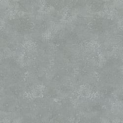 Galerie Wallcoverings Product Code: 95082 - Air Wallpaper Collection Galerie Wallcoverings Product Code 95082 - Air Wallpaper Collection - Grey Colours - This marked plaster effect wallpaper is the perfect choice if you want to bring a room up to date in a dramatic way. With a subtle emboss to create some structural depth, it comes in an on-trend grey colour. Drawing on the textures of, and resembling the stippled texture of ancient plasterwork or faded limestone, this unusual wallpaper will be a warming welcome to your home. This will be perfect on all four walls or can be accompanied by a complementary wallpaper. Design