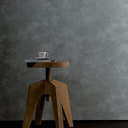 Galerie Wallcoverings Product Code: 95082 - Air Wallpaper Collection Galerie Wallcoverings Product Code 95082 - Air Wallpaper Collection - Grey Colours - This marked plaster effect wallpaper is the perfect choice if you want to bring a room up to date in a dramatic way. With a subtle emboss to create some structural depth, it comes in an on-trend grey colour. Drawing on the textures of, and resembling the stippled texture of ancient plasterwork or faded limestone, this unusual wallpaper will be a warming welcome to your home. This will be perfect on all four walls or can be accompanied by a complementary wallpaper. Design