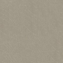 Galerie Wallcoverings Product Code: 99143 - Earth Wallpaper Collection Galerie Wallcoverings Product Code 99143 - Earth Wallpaper Collection - Greige, Grey Colours - Scored Design