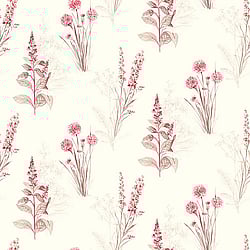 Galerie Wallcoverings Product Code: AB42441 - Abby Rose 3 Wallpaper Collection Galerie Wallcoverings Product Code AB42441 - Abby Rose 3 Wallpaper Collection -