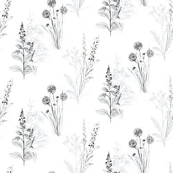Galerie Wallcoverings Product Code: AB42443 - Abby Rose 3 Wallpaper Collection Galerie Wallcoverings Product Code AB42443 - Abby Rose 3 Wallpaper Collection - Grey Black Colours - Flora Design