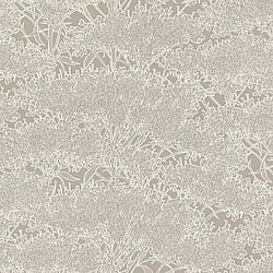 Galerie Wallcoverings Product Code: AC60014 - Absolutely Chic Wallpaper Collection Galerie Wallcoverings Product Code AC60014 - Absolutely Chic Wallpaper Collection - Beige Grey Metallic Colours - Cherry Blossom Motif Design