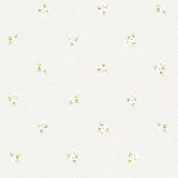 Galerie Wallcoverings Product Code: AF37749 - Abby Rose 4 Wallpaper Collection Galerie Wallcoverings Product Code AF37749 - Abby Rose 4 Wallpaper Collection - Green Light Grey Colours - Laurel Spot Design