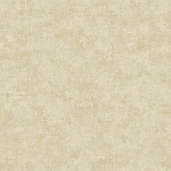 Galerie Wallcoverings Product Code: AM22009-1 - Elegance Wallpaper Collection Galerie Wallcoverings Product Code AM22009-1 - Elegance Wallpaper Collection - Metallic Plaster Design