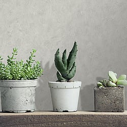 Galerie Wallcoverings Product Code: AM25303 - Shades Of Colour Wallpaper Collection Galerie Wallcoverings Product Code AM25303 - Shades Of Colour Wallpaper Collection - Grey cloud Colours - Plain Design