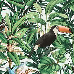 Galerie Wallcoverings Product Code: AM30001 - Amazonia Wallpaper Collection Galerie Wallcoverings Product Code AM30001 - Amazonia Wallpaper Collection - Green Colours - Tropical Birds Design