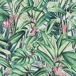 Galerie Wallcoverings Product Code: AM30003 - Amazonia Wallpaper Collection Galerie Wallcoverings Product Code AM30003 - Amazonia Wallpaper Collection - Green Pink Colours - Tropical Print Design