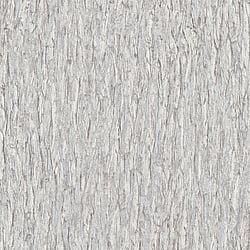 Galerie Wallcoverings Product Code: AM30011 - Amazonia Wallpaper Collection Galerie Wallcoverings Product Code AM30011 - Amazonia Wallpaper Collection - Greige Colours - Bark Design
