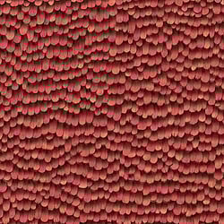 Galerie Wallcoverings Product Code: AM30017 - Amazonia Wallpaper Collection Galerie Wallcoverings Product Code AM30017 - Amazonia Wallpaper Collection - Red Colours - Feathers Design