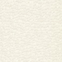 Galerie Wallcoverings Product Code: AM30019 - Amazonia Wallpaper Collection Galerie Wallcoverings Product Code AM30019 - Amazonia Wallpaper Collection - White Grey Colours - Feathers Design